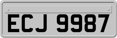 ECJ9987