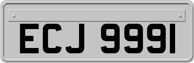 ECJ9991