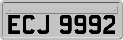 ECJ9992