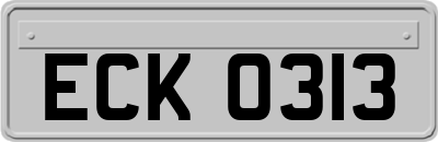 ECK0313