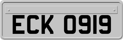 ECK0919