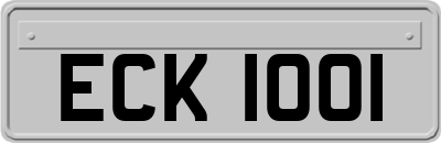 ECK1001