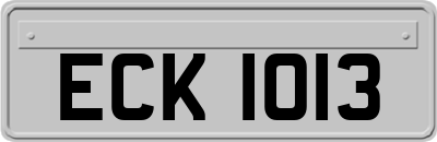 ECK1013