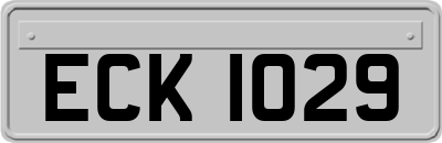 ECK1029