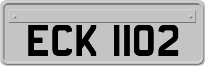 ECK1102