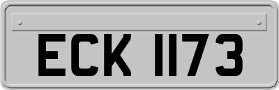 ECK1173