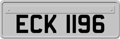 ECK1196