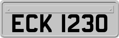 ECK1230