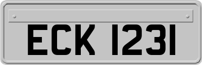 ECK1231