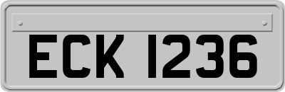 ECK1236