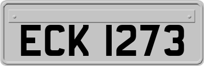 ECK1273