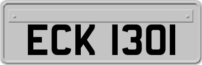 ECK1301