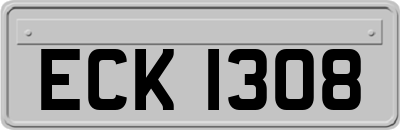 ECK1308