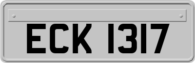 ECK1317