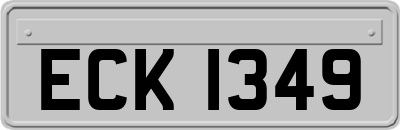 ECK1349