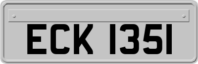 ECK1351