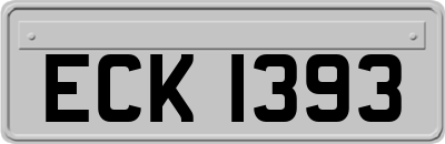 ECK1393