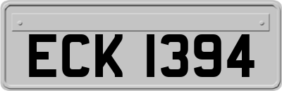 ECK1394