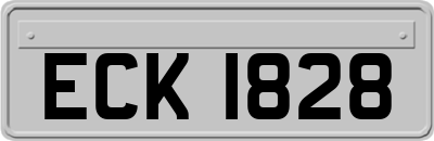 ECK1828