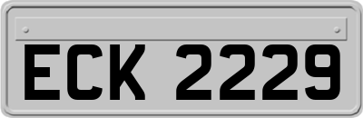 ECK2229