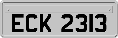 ECK2313