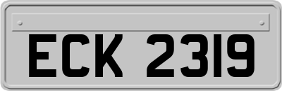 ECK2319