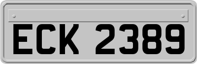 ECK2389