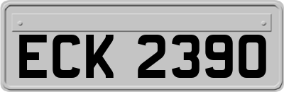 ECK2390