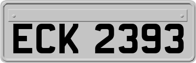 ECK2393