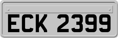 ECK2399