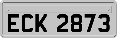 ECK2873
