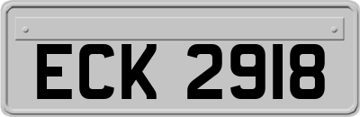 ECK2918