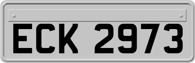 ECK2973