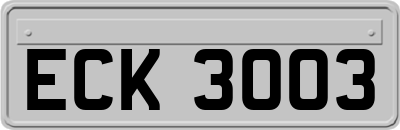 ECK3003