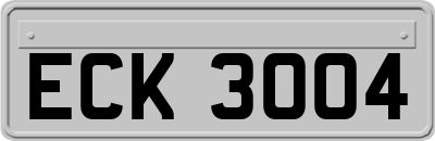 ECK3004