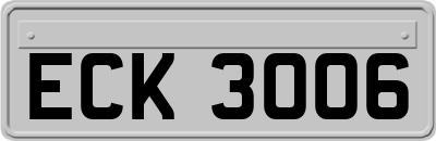 ECK3006