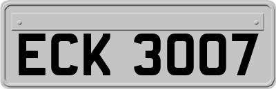ECK3007