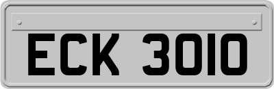 ECK3010