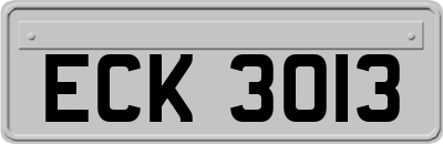 ECK3013
