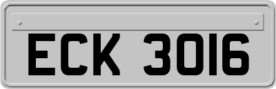ECK3016