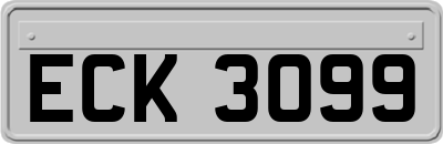 ECK3099