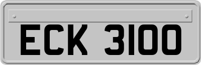ECK3100