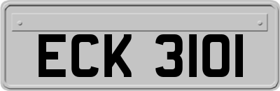 ECK3101
