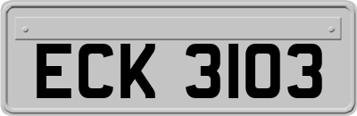 ECK3103