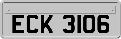 ECK3106