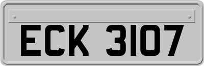 ECK3107