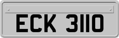 ECK3110
