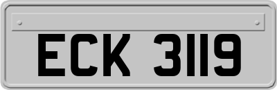 ECK3119