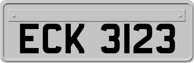 ECK3123