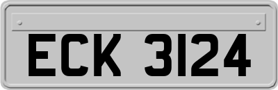 ECK3124
